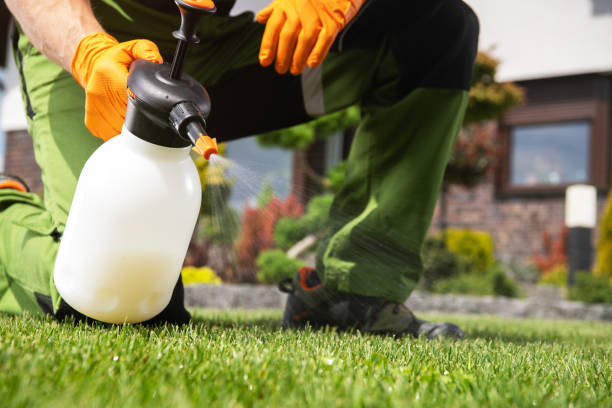 Best Exterminator Services  in Shortsville, NY