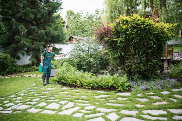 Best Ant Control Services  in Shortsville, NY