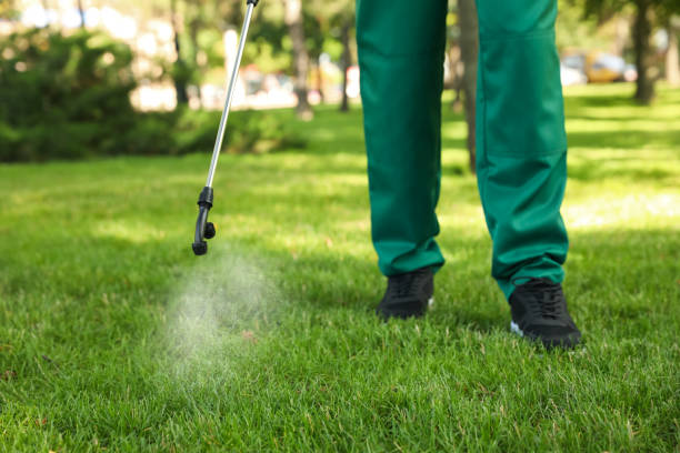 Best Pest Removal Services  in Shortsville, NY
