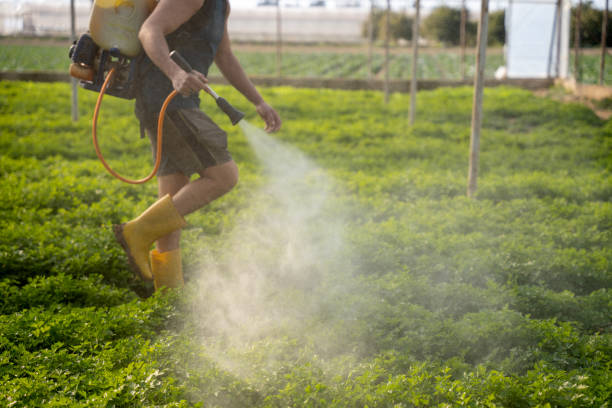Best Pest Removal Services  in Shortsville, NY
