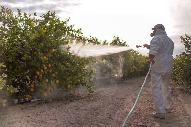 Professional Pest Control in Shortsville, NY