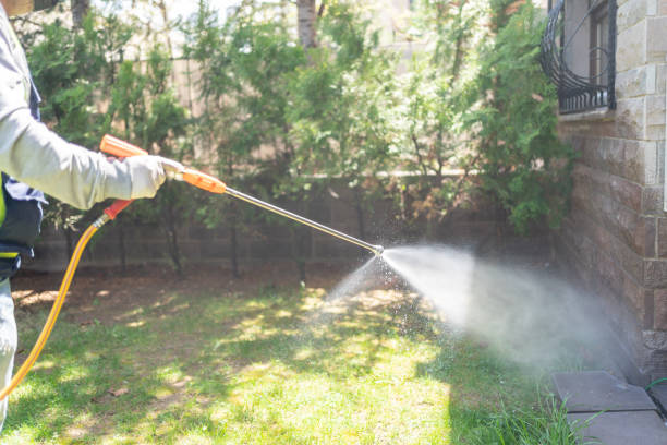 Best Affordable Pest Control Services  in Shortsville, NY