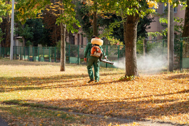 Best Spider Control Near Me  in Shortsville, NY