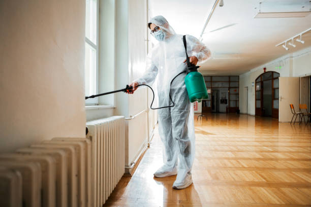 Best Mosquito Control Services  in Shortsville, NY