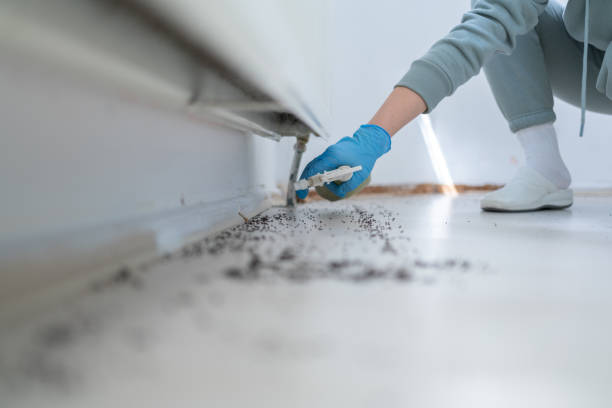 Best Emergency Pest Control  in Shortsville, NY